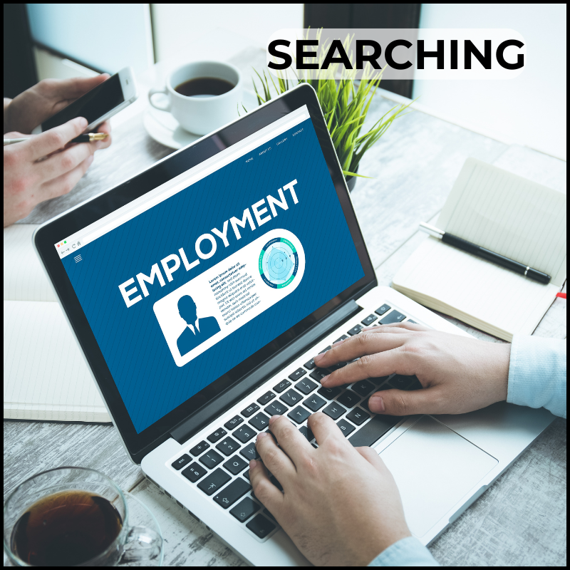 job search skills